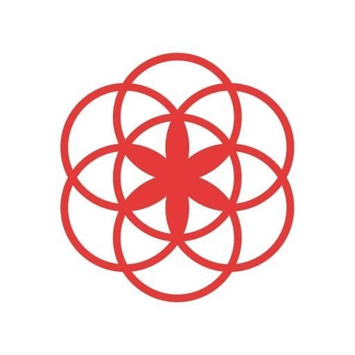 App Clue Period & Cycle Tracker
