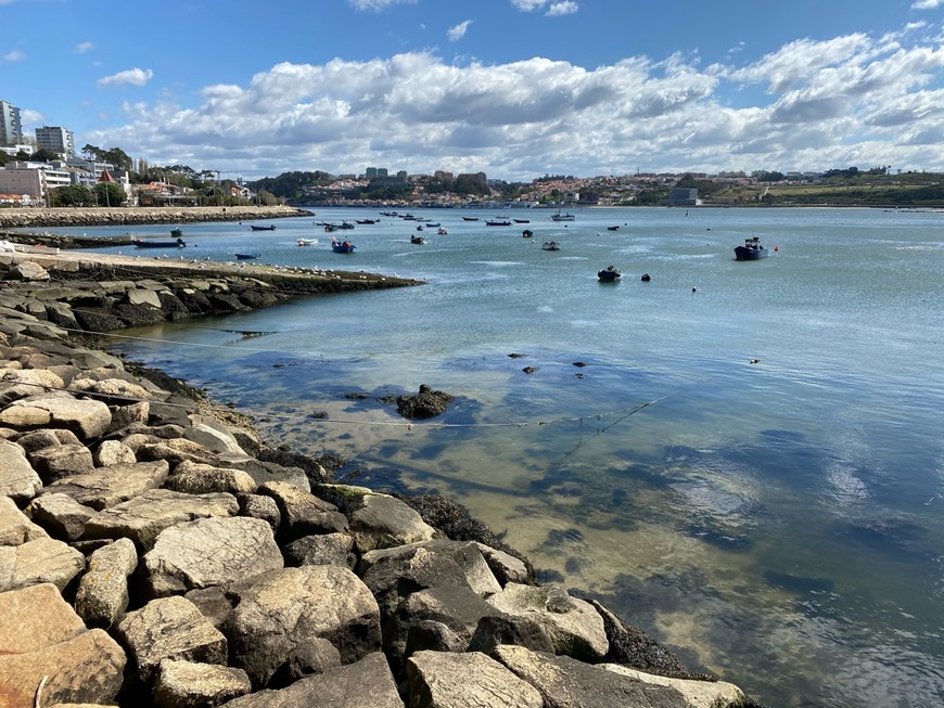 Place Foz do Douro