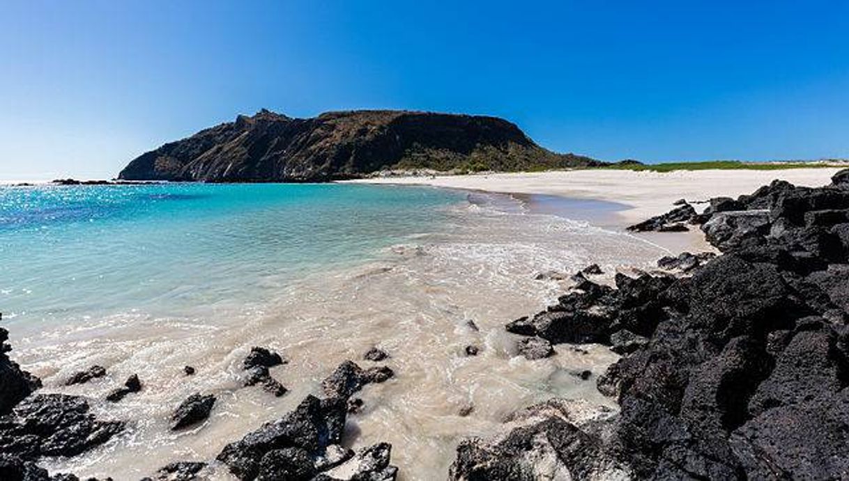 Place Islas Galápagos