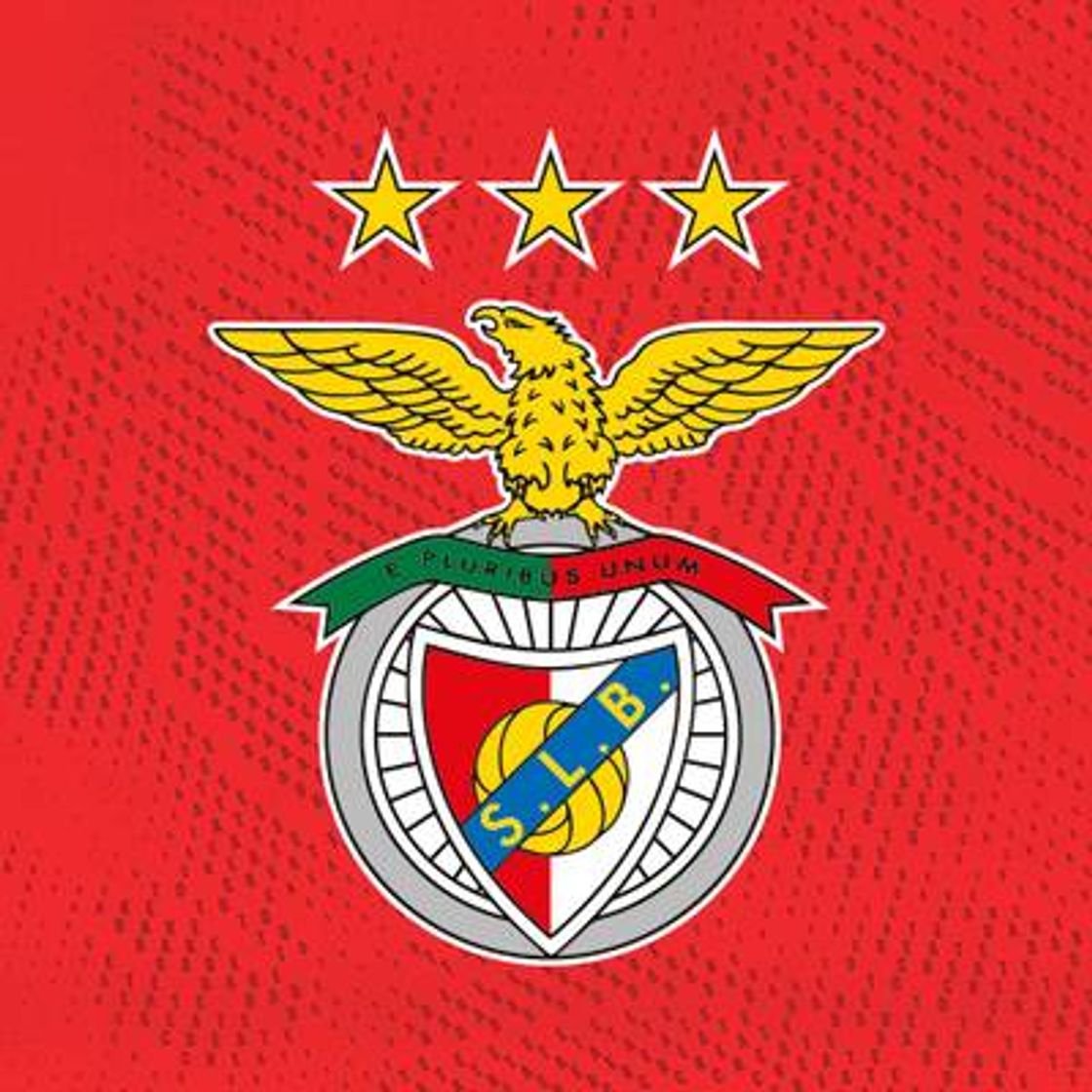 Fashion Sport Lisboa e Benfica ♥️