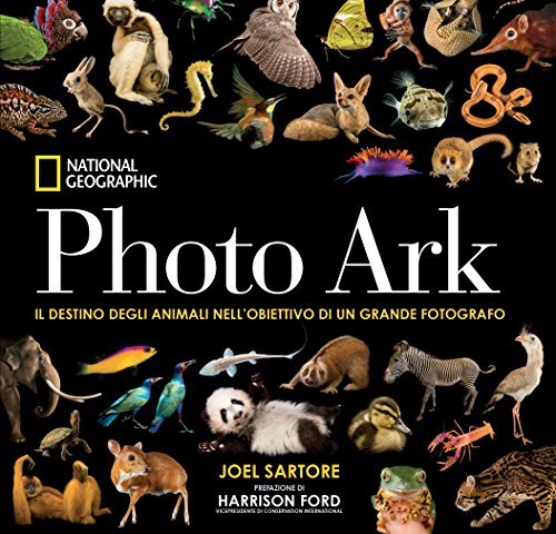 Book Photo Ark. Mini Edizione