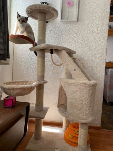 Torre para gatito