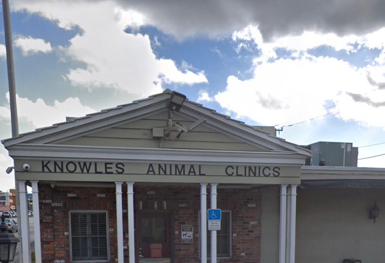 Lugares VCA Knowles Central Animal Hospital