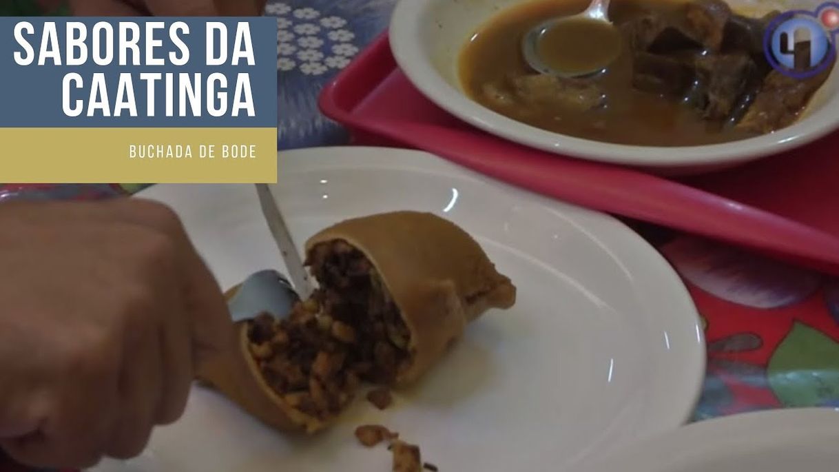 Fashion Sabores da Caatinga Buchada de Bode - YouTube