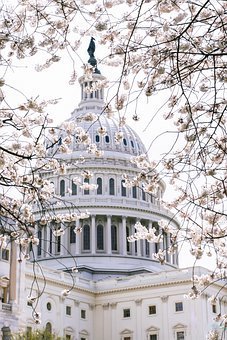 Social Pixabay: Más de 1.7 millones de imágenes gratis para descargar