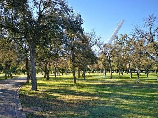 Parque del Alamillo