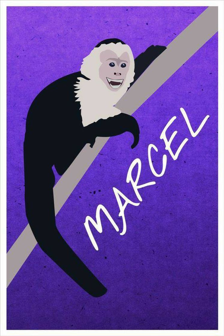 Marcel 🐒💙