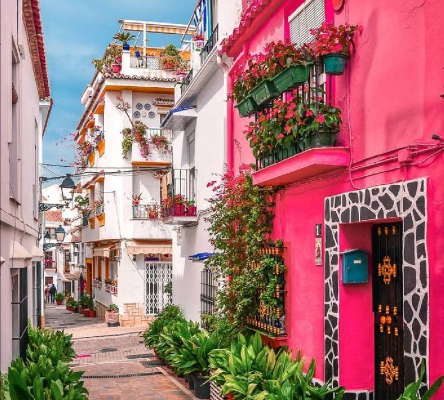 Social Marbella, Spain 