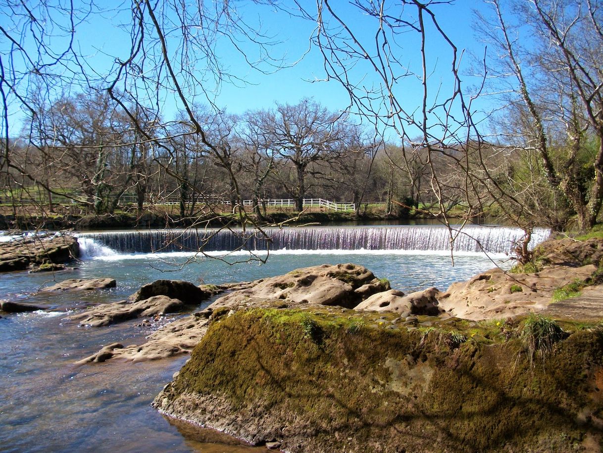 Places Parque del Camarao