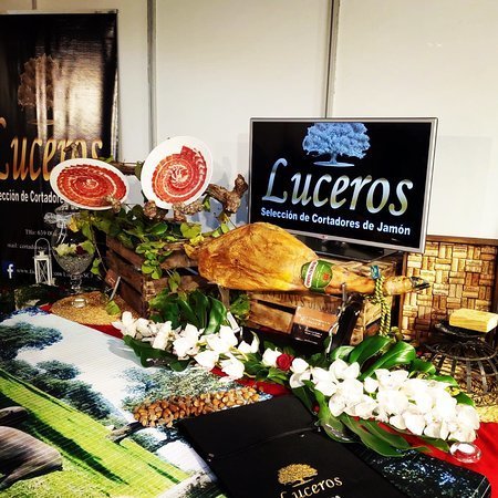 Restaurants Luceros Gourmet