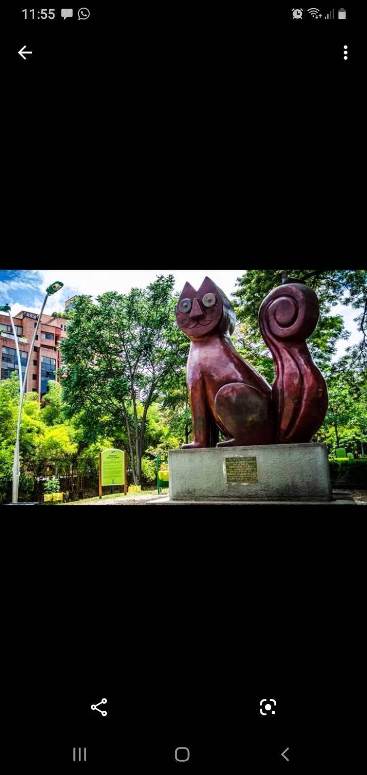 Place Parque del Gato