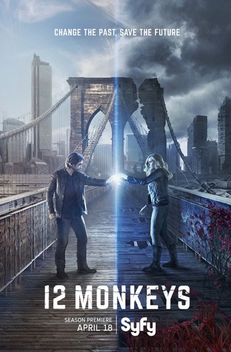 Serie 12 monos