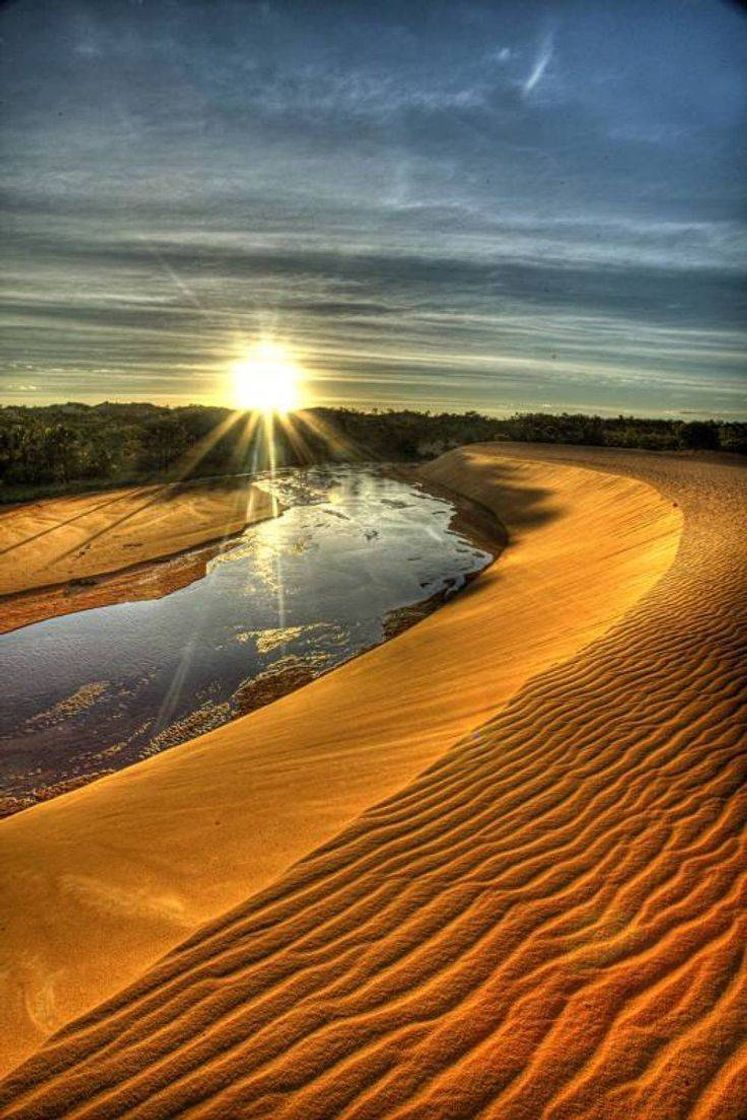 Jalapão 😍🏜️