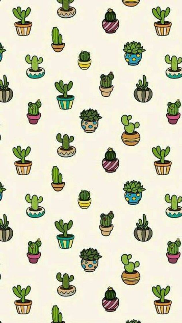 Fashion Suculentas 🌵