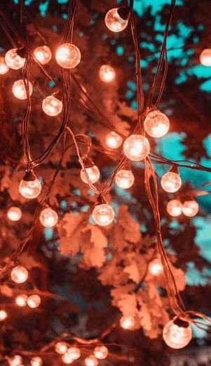 Social Papel de parede.