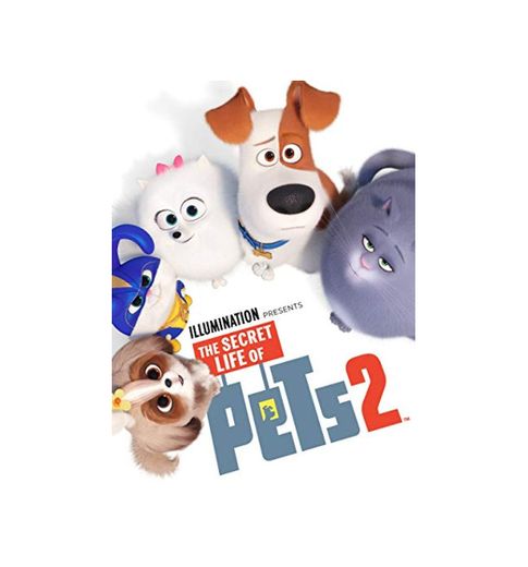 The Secret Life of Pets 2