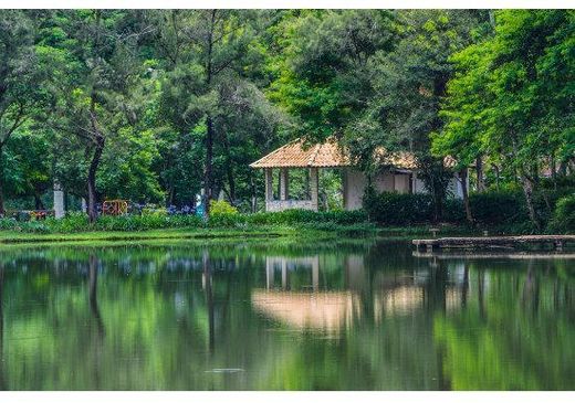 Lajinha the Municipal Natural Park