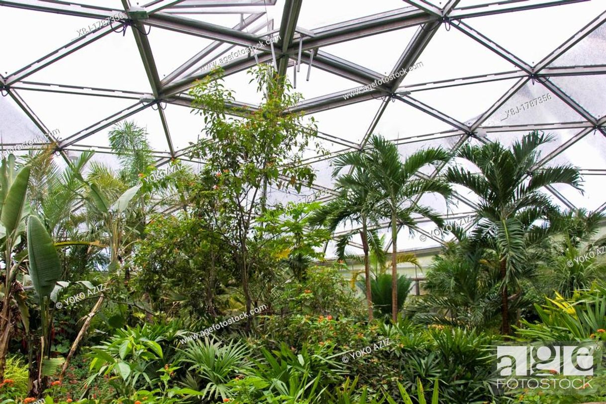 Place Papiliorama