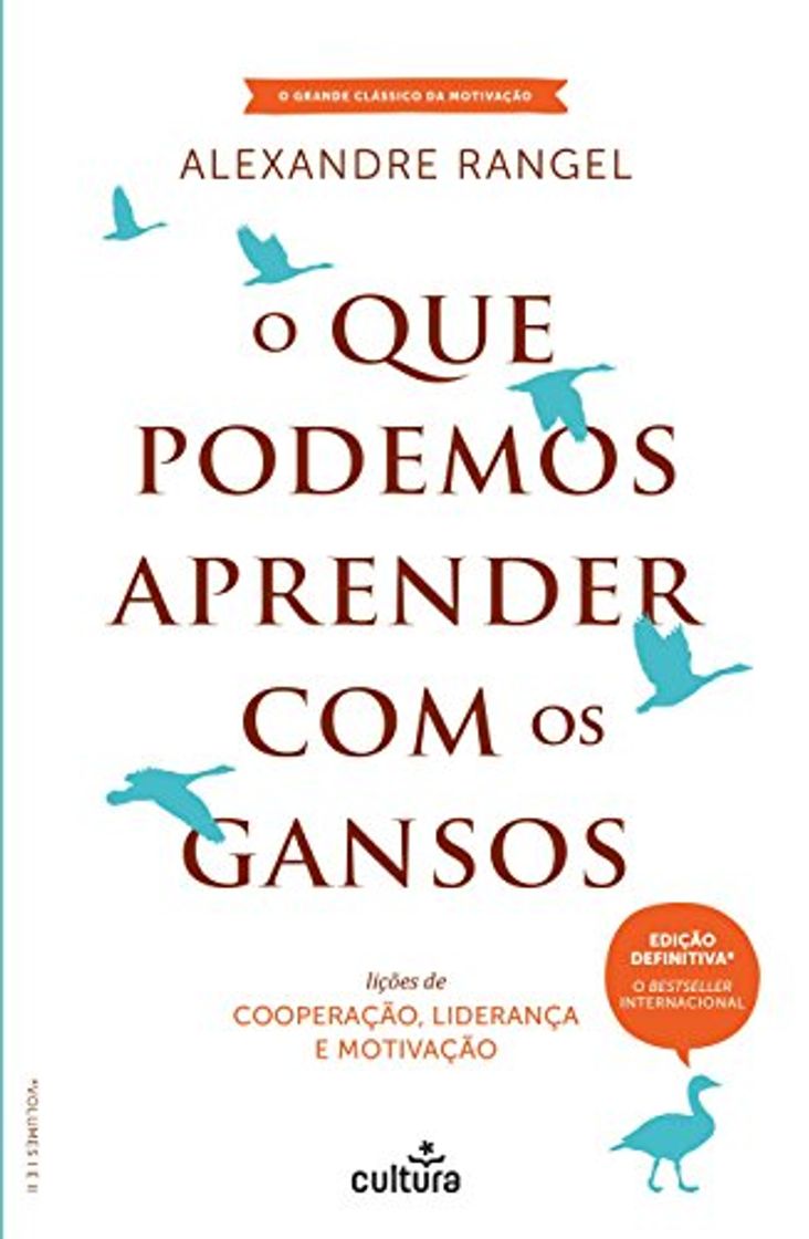 Libro O que podemos aprender com os gansos