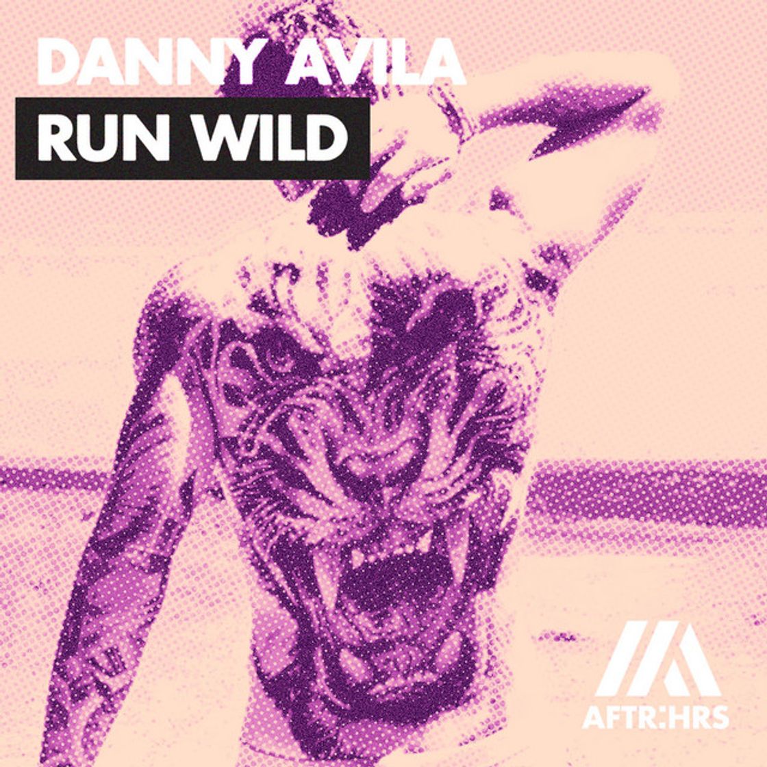 Canción Run Wild