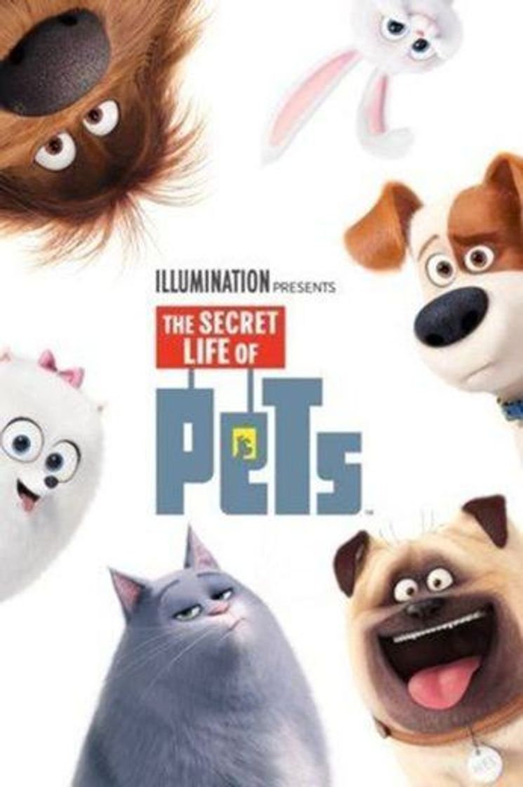 Movie  Pets – A Vida Secreta dos Bichos 