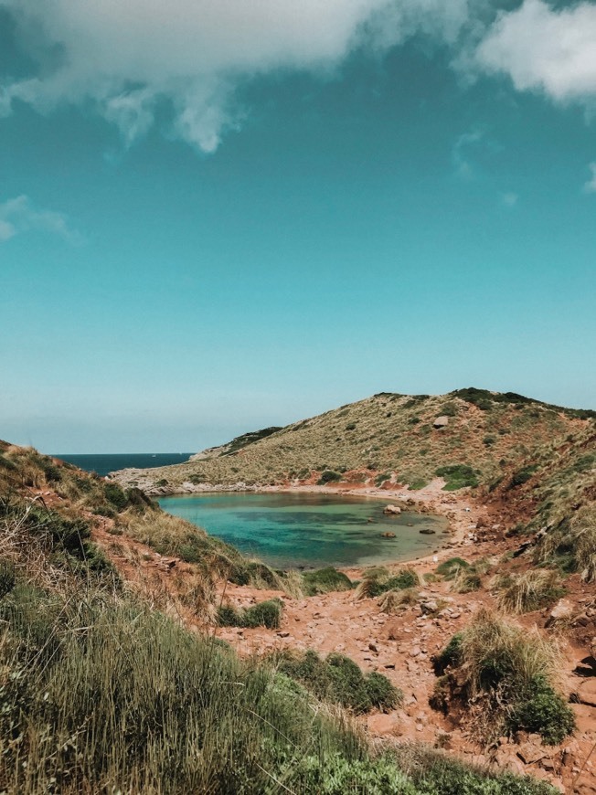 Lugar Platja de Cavalleria