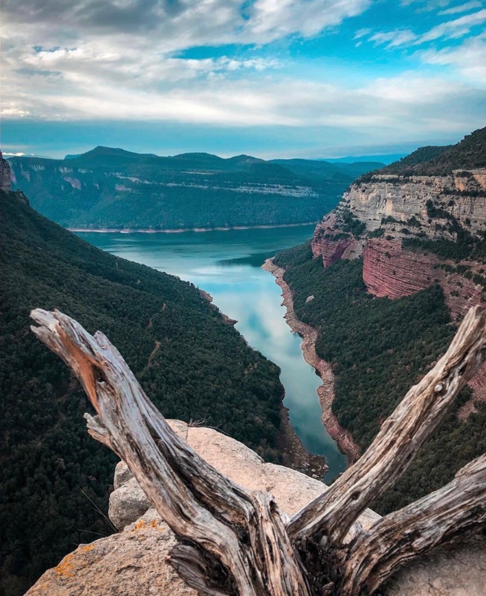 Lugar Morro de l'abella - Cingle Penya-segat