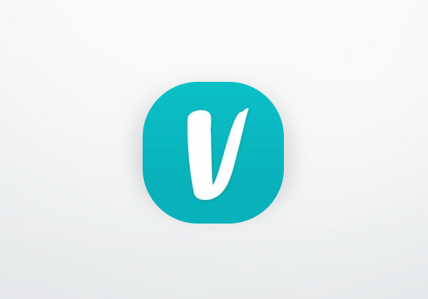 App Vinted USA