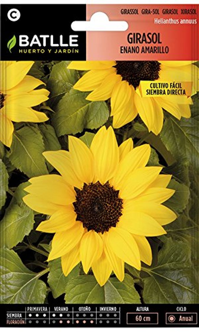 Social Semillas de Flores