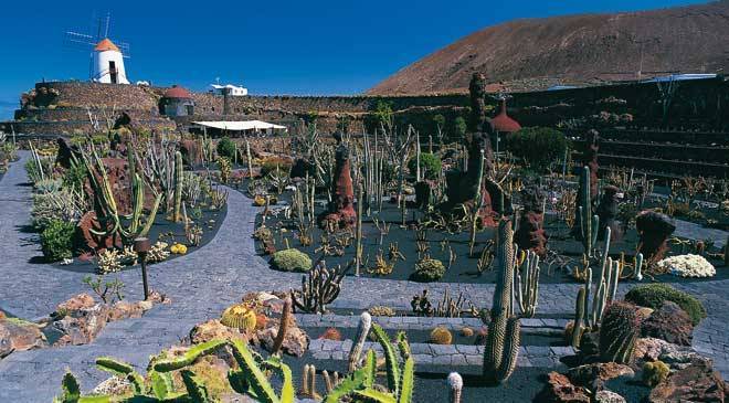 Lugar Jardín de Cactus de Lanzarote