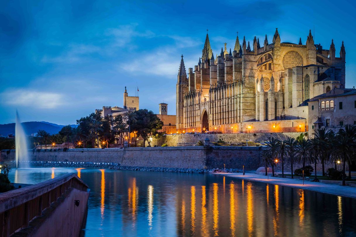 Place Catedral-Basílica de Santa María de Mallorca