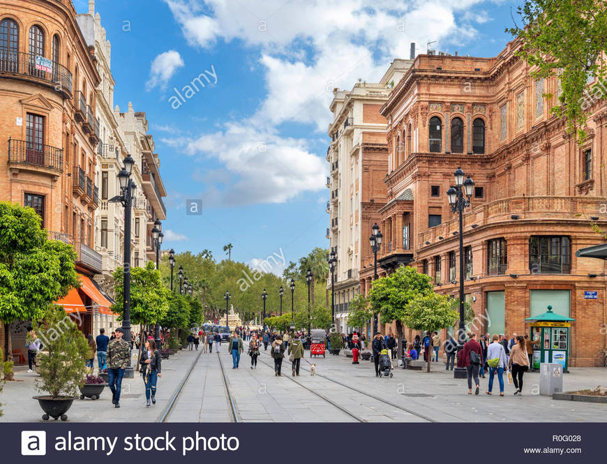 Lugar Avenida de la Constitución