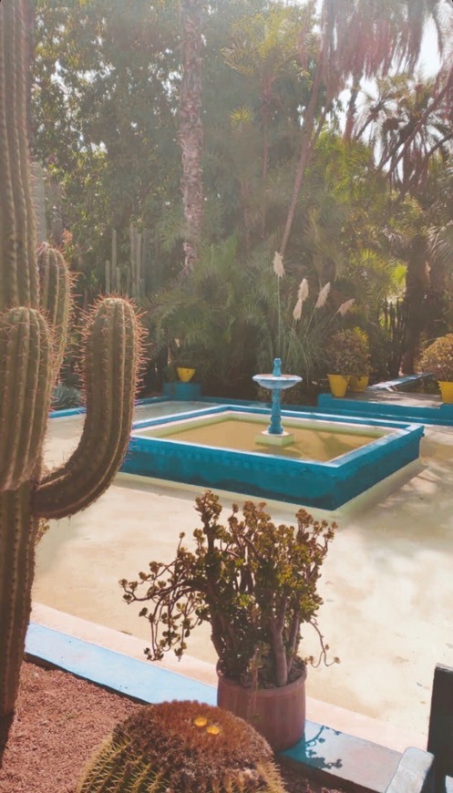 Place Jardín Majorelle