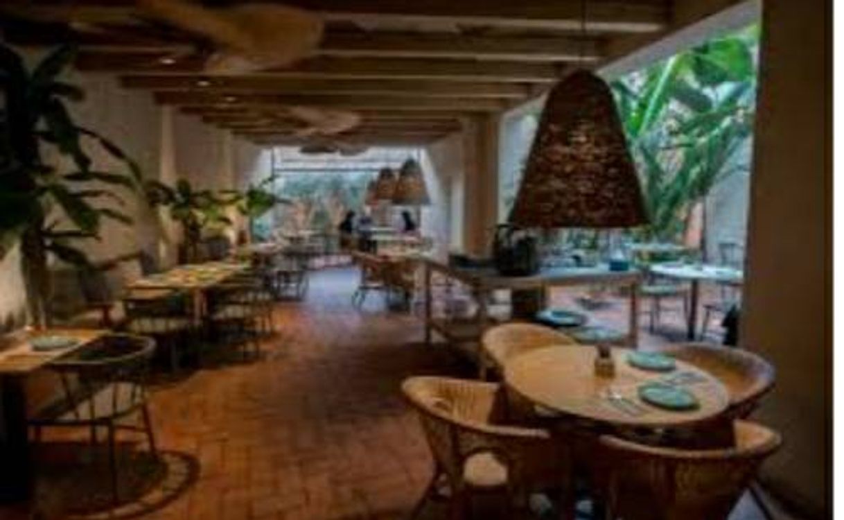 Restaurants Tagomago