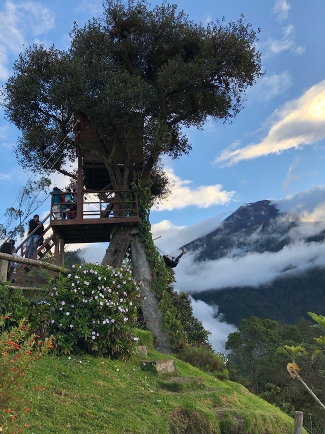 Lugar La Casa del Arbol