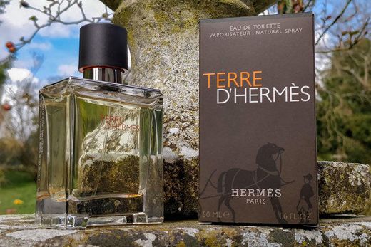 Terre d'Hermes Hermès cologne - a fragrance for men 2006