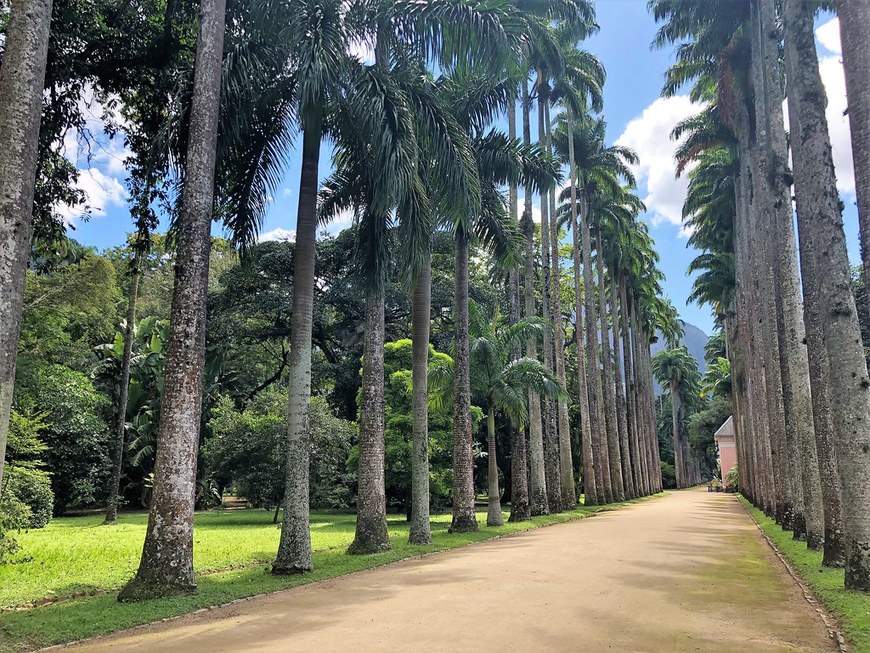 Place Jardim Botânico