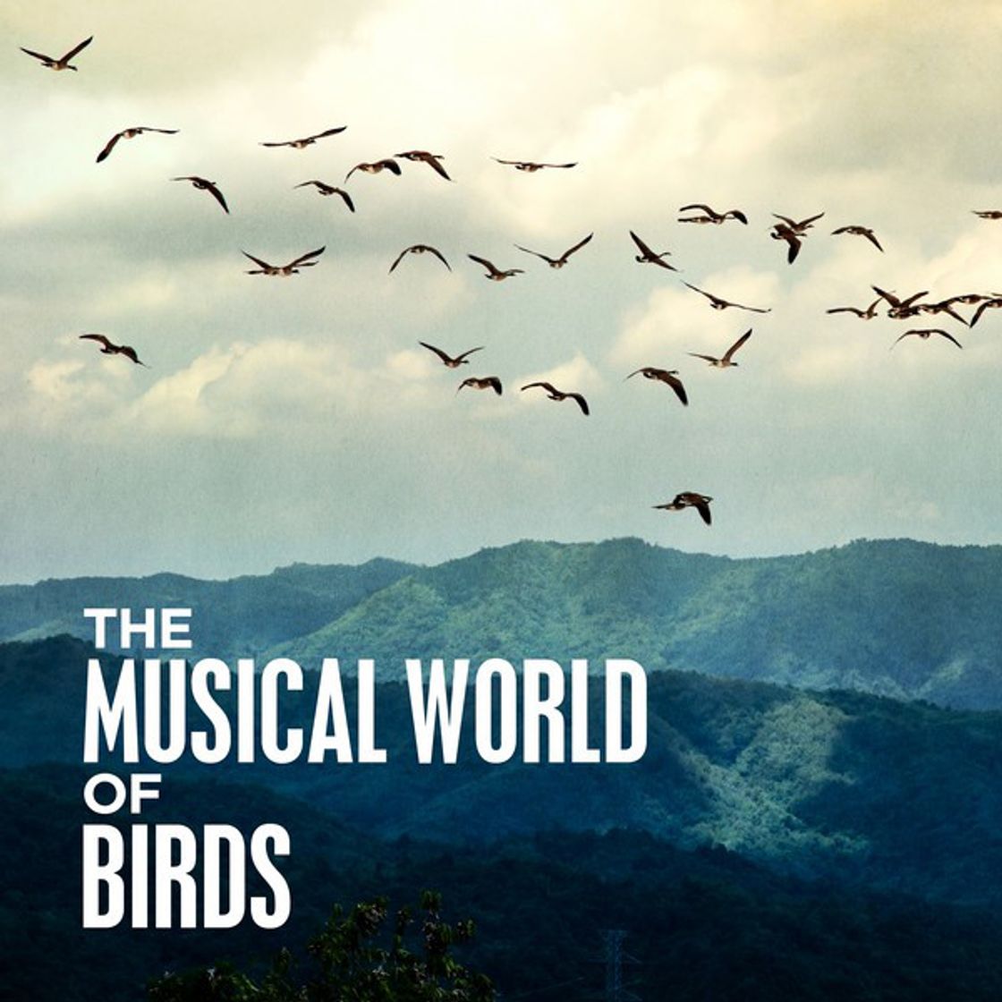Canción The Seasons, Op. 37b: III. March: Song of the Lark