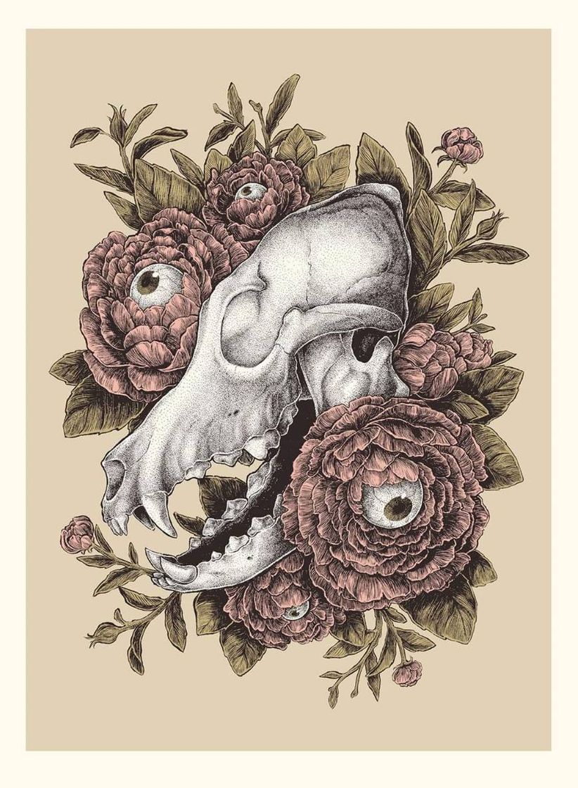 Skull