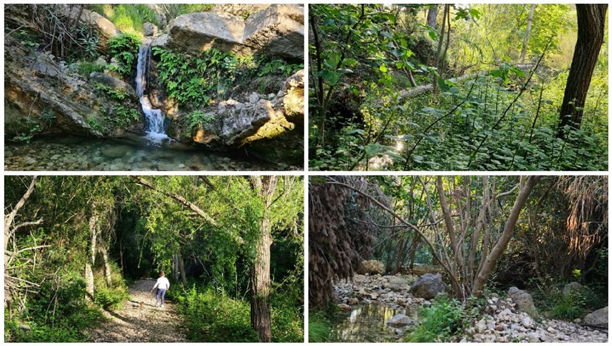 Moda La Ruta del Agua del Montitxelvo y el paraje natural de la Font de Ferri