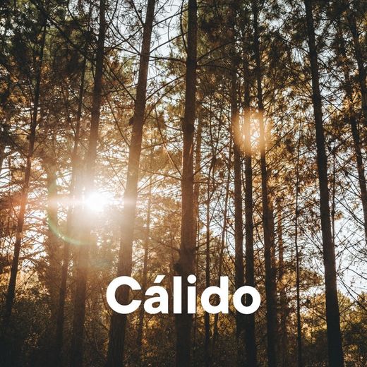 Cálido - A Chill Mix