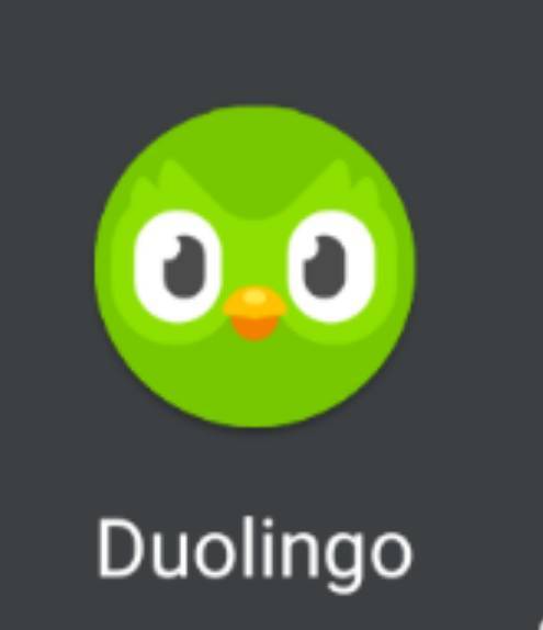 Fashion Duolingo