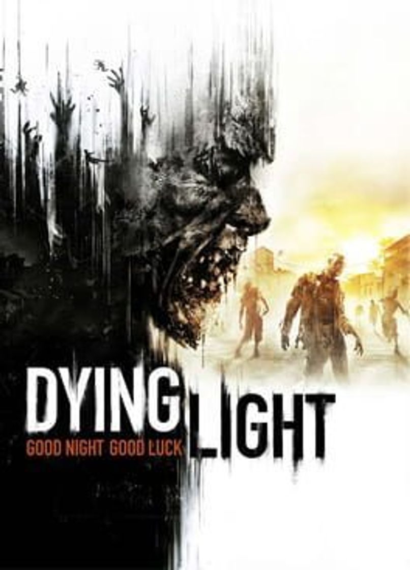 Videogames Dying Light