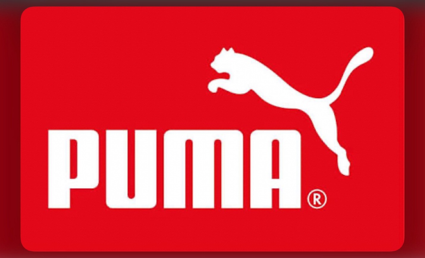 Fashion Puma 