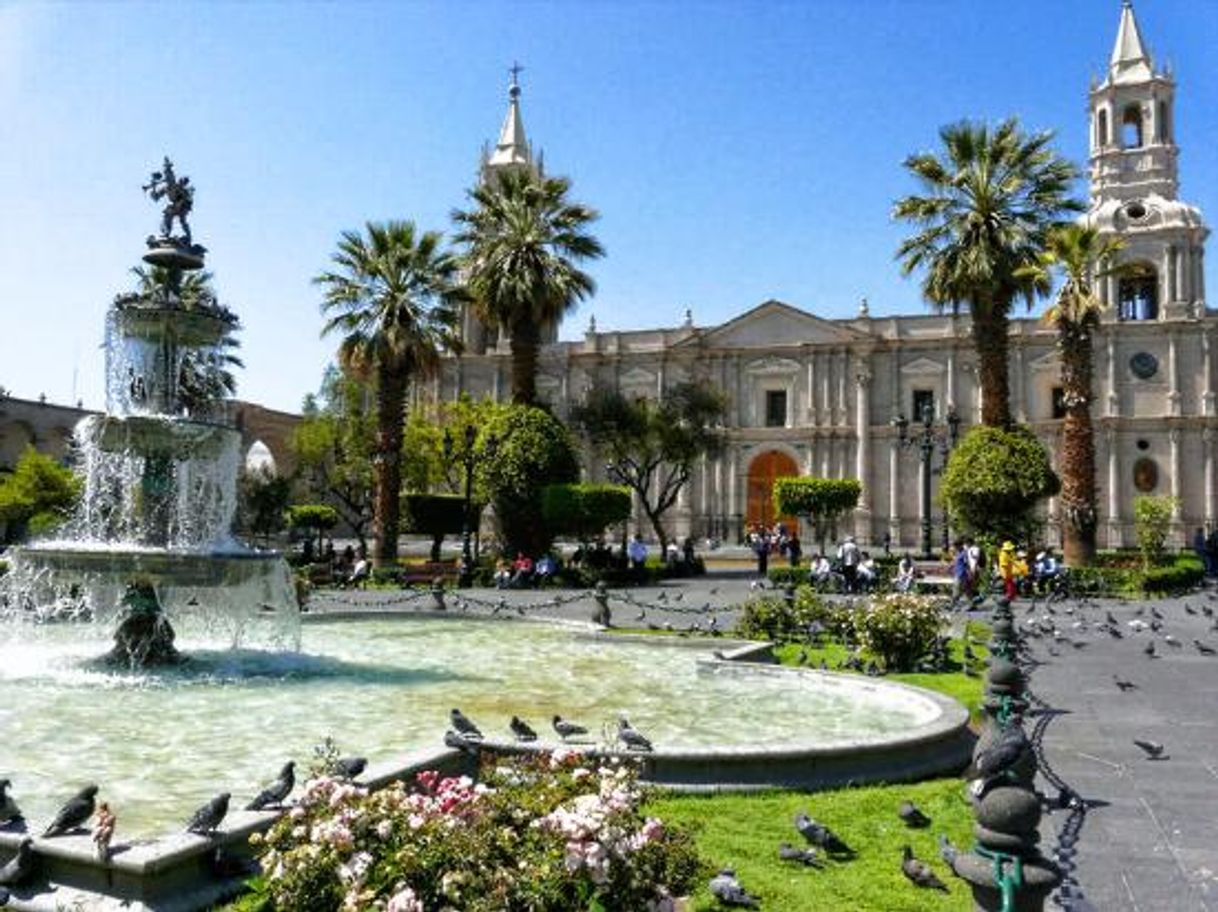 Place Arequipa Center