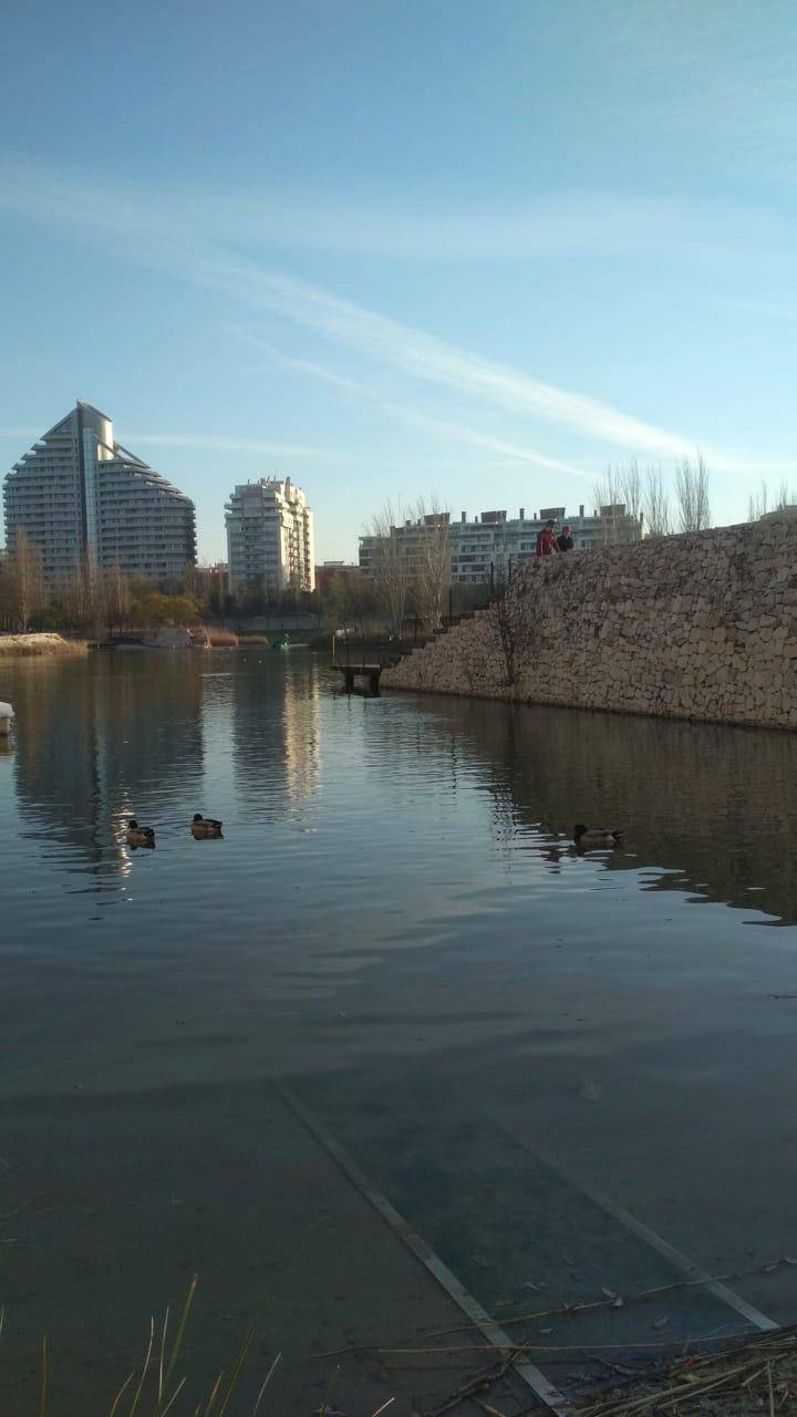 Lugar Parque de Cabecera