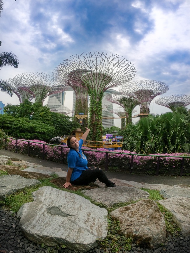 Place Gardens by the Bay