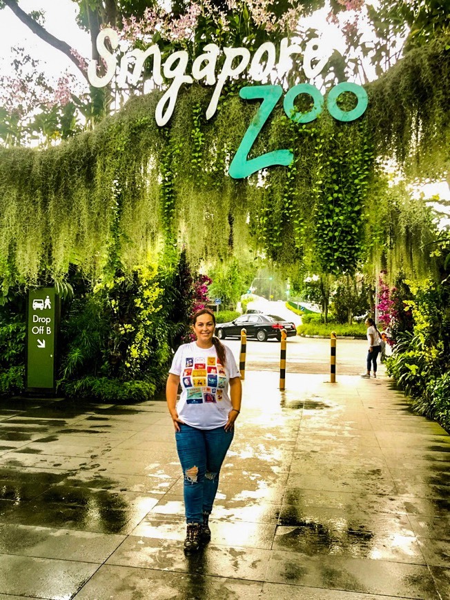 Place Singapur Zoo