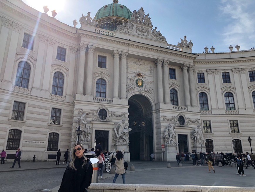 Places Palácio Hofburg