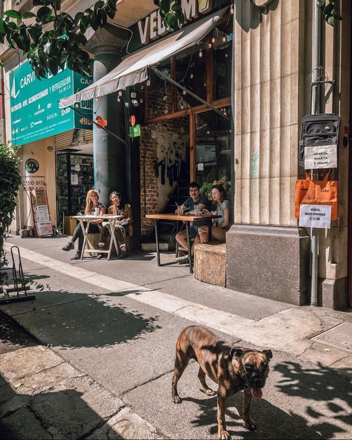 Restaurantes Vegamo MX